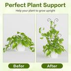 Larger 23.6in Taller Plant Trellis - Image 4