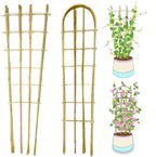 Natural Bamboo Trellis, Fan-Shaped+U-Shape, Plant Support Trellis by GUANGYE