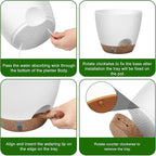 Self-Watering Plant Pots with Water Level Indicator, Drainage Holes & Saucers – - Image 7