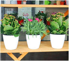 6 Pcs 3.5“ Self Watering Planter White Flower Pot, Flowers Plants, Small Mini - Image 2