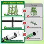 Cucumber Trellis, Metal Garden Trellis - Image 4