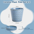 EFISPSS Plant Pots, 5 Inch Pots - Image 2