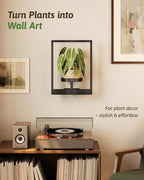 Wall Plant Holder Wall Planters - Image 2