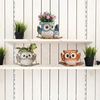 Swing Owl Hanging Planters for Indoor Plants, Cute Small Succulent Pots - Image 6