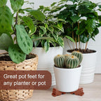 Kigeli 12 Pcs Resin Pot Feet for Outdoor Planters 3 Inch Long 1.5 Inch Tall - Image 5