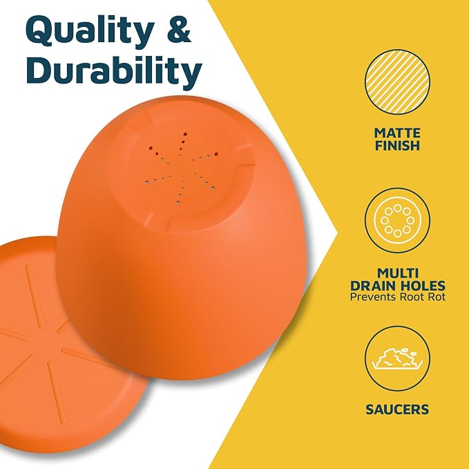 Yellow Plant Pots with Drainage Holes & Saucers 10 Pack, Indoor & Outdoor - Image 7