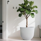 WORTH Garden Round Large Planter Pot 1-Pack - Image 6