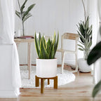 2 Pack Plant Stand Indoor Outdoor, Mid Century Plant Stand - Image 2