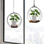 Hanging Planter for Indoor Plants, Plant Hanger - Image 6