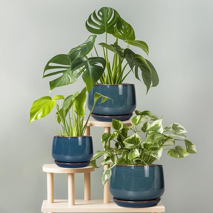 G EPGardening Ceramic Planter 6 Inch - Image 8