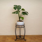 FaithLand 2 Pack Plant Stands, Heavy Duty Metal Planter Holder Indoor Outdoor - Image 6