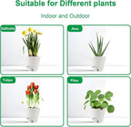Self-Watering-Pots-for-Indoor-Plants, 8 Inch Flower Pots - Image 5