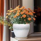 Ceramic Pots for Plants - Image 2