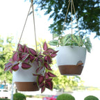 10 Inch Self Watering Hanging Pots, 2 Pack Hanging Planters - Image 5