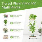 iDavosic.ly 2 Tier Corner Plant Stand Indoor, 30 Inch Tall Vertical Metal - Image 7