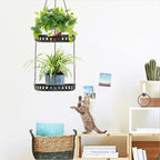 Plant Hanger Indoor Outdoor, 2 Tier Hanging Planter Plant Shelf, Metal Hanging - Image 2