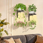 iDavosic.ly Wall Plant Holder - Image 7