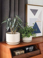 LE TAUCI Ceramic Plant Pots, 4.3+5.3+6.8 inch, Planters - Image 2