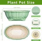 Bonsai Tree Pot - Image 2