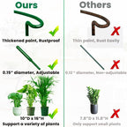 10-Pack Adjustable Height Snake Plant Support Stakes- Sturdy, Rust-Resistant - Image 3