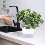 FAMZ Self Watering Planters 4 Pack，Self Watering Pots - Image 4