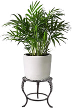 OwnMy Heavy Duty Cast Iron Plant Stand Vintage Iron Flower Pot Holder, Rustic - Image 2