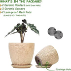 8 Inch + 6 Inch Retro Ceramic Planter Set of 2 - Image 2