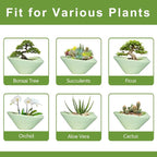 Ceramic Bonsai Pots - Image 7