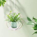 Hanging Planters for Indoor Plants, Plant Hanger - Image 6