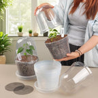 BTPLASTIK 6 Inch Clear Nursery Pots - Image 5