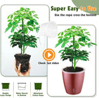 Self Watering Pots for Indoor Plants, Small African Violet Pots - Image 7