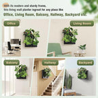 Wall-Mounted Vertical Garden Planter – Ready-to-Use Indoor Wall Planter - Image 4