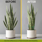 12 Pack Plant Support Stakes – Tall Plant Stakes - Image 5