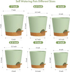7/6.5/6/5.5/5/4 inch Self Watering Pots - Image 2