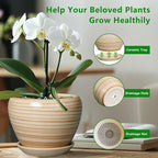 Ceramic Pot for Plant 10 Inch - Image 5