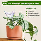 NiHome Glass Plant Self Watering Bulbs 3-Pack Iridescent Pearl Home Potted - Image 5