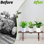 2 Pack Metal Plant Stand Outdoor Indoor, 1 Tier Folding Tiered Flower Plant - Image 9