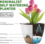 Plant Pots 12/10/9 Inch Self Watering Pots, Plastic Flower Pots, Nursery - Image 4