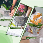 Orchid Pot with Saucers, 6 Packs of 6.1" Orchid Pots with Holes, Orchid Pots - Image 7