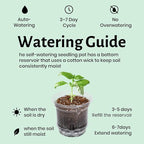 12 Pack 6.5 Inch Clear Self Watering Plant Pots - Image 6