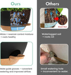 13 Inch 2 Pack Large Self Watering Hanging Planters - Image 7