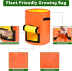 JJGoo Potato Grow Bags, 4 Pack 10 Gallon - Image 5