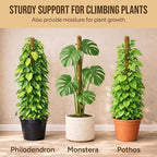 Moss Pole Monstera Plant Support – 2 Pack 28” Bendable Moss Pole Monstera Plant - Image 5