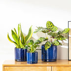 vancasso Ceramic Plant Pots, 3 Piece Planters - Image 5