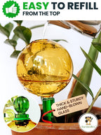 16 Oz Plant Watering Globes for Indoor Plants - Image 3