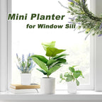 Anyumocz 24Pcs 3" Square Plastic Plant Pots, Seedling Nursery Transplanting - Image 4