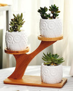 FLOWERPLUS Planter Pots Indoor, 3 Pack 3 Inch White Ceramic Decorative Small - Image 7