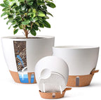T4U 3 Pack Self Watering Pots by T4U