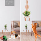 Macrame Plant Hanger for 5 to 10 Inch Plant Pots, Hanging Planter Basket Holder - Image 8