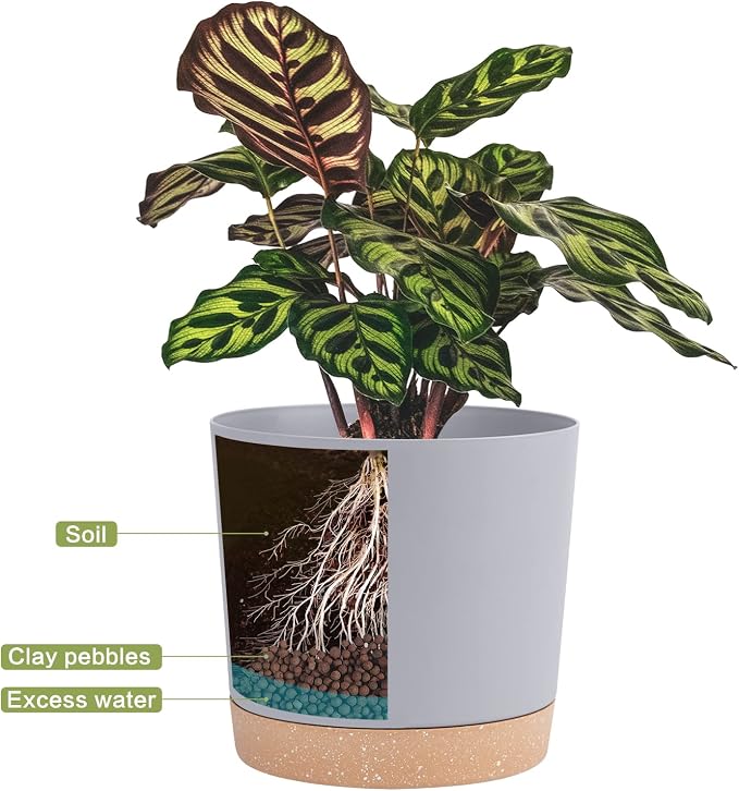 QCQHDU 12 inch Plant Pot, 2 Pack Planters - Image 4